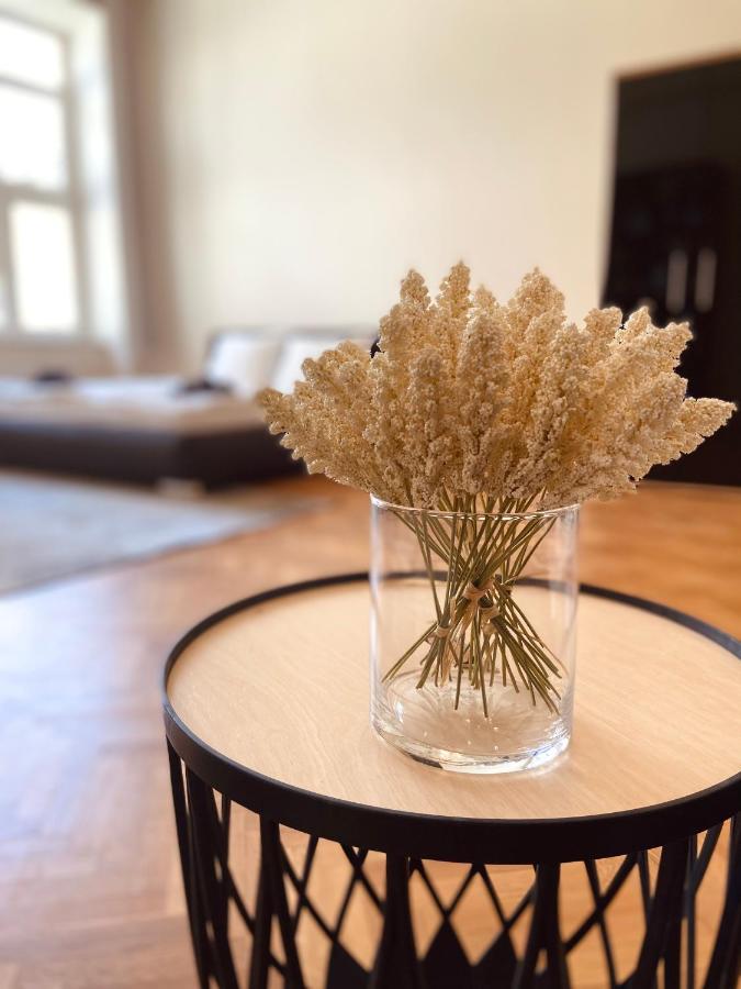 Luxury Vincents Apartments קושיצה מראה חיצוני תמונה